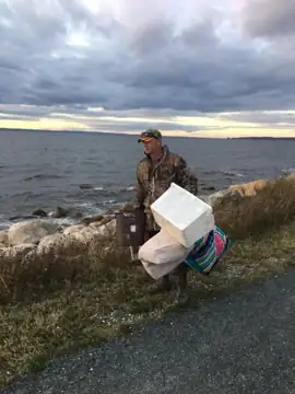 Photo 4 of 5 from the Lance Cove shoreline, CBS post, October 2, 2019