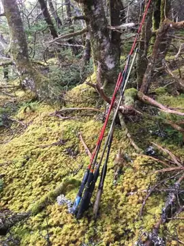 Photo 3 of 5 from the Riverhead hillsides, St. Mary's Bay post, December 6, 2019