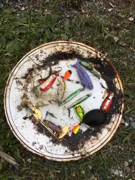 Photo 5 of 5 from the Bremigens Pond post, July 10, 2020