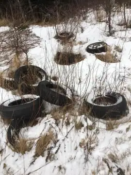 Photo 1 of 2 from the Bremigens Pond post, January 21, 2021