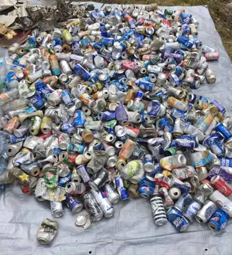 Photo 5 of 5 from the St. John's trails and roadsides (general) post, April 30, 2021