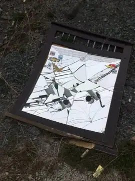 Photo 1 of 3 from the St. John's trails and roadsides (general) post, May 6, 2021