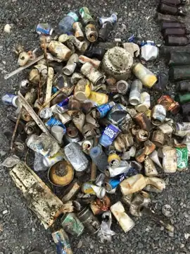Photo 3 of 5 from the Topsail Pond post, June 19, 2021