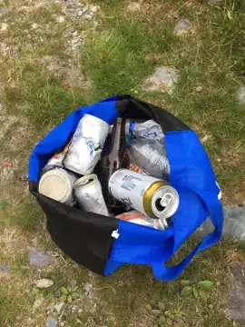 Photo 1 of 1 from the St. John's trails and roadsides (general) post, August 7, 2021