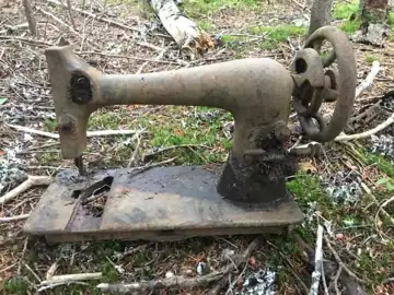 Photo 5 of 5 from the woods off Thorburn Road post, December 8, 2021