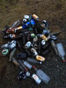 Photo 1 of 2 from the Heavy Tree Road woods, St. John's post, January 14, 2022