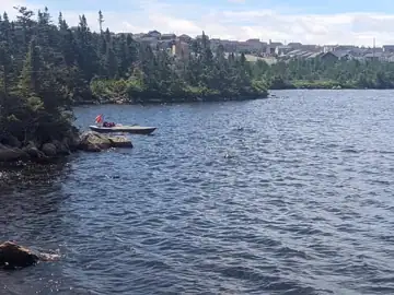 Photo 1 of 2 from the Adams Pond post, June 28, 2022