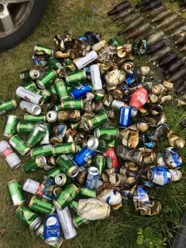 Photo 3 of 5 from the Blue Gull Pond post, July 4, 2022