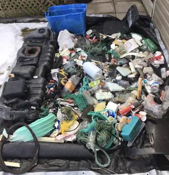 Photo 1 of 5 from the Lance Cove shoreline, CBS post, January 25, 2023