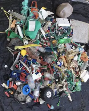 Photo 1 of 5 from the Twillingate beaches and ponds post, April 10, 2023
