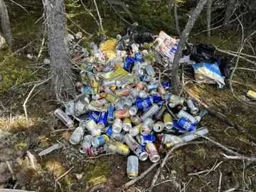Photo 1 of 2 from the St. John's trails and roadsides (general) post, May 20, 2023