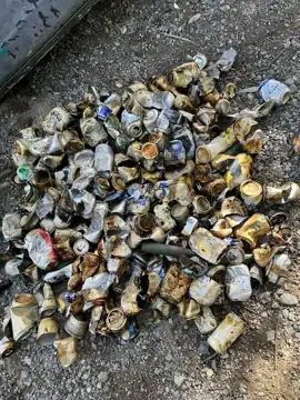 Photo 3 of 5 from the Witless Bay shoreline post, September 1, 2023