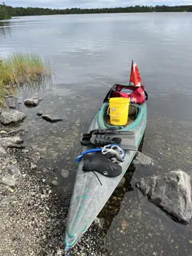 Photo 1 of 1 from the Mitchells Pond North post, July 30, 2024