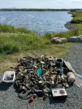 Photo 1 of 3 from the Lance Cove Pond post, July 14, 2025