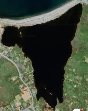 Photo 3 of 3 from the Lance Cove Pond post, July 14, 2025