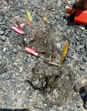 Photo 2 of 3 from the Thomas Pond post, July 20, 2025