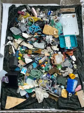 Photo 1 of 5 from the Lance Cove shoreline, CBS post, April 1, 2026