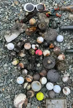 Photo 5 of 5 from the Forest Pond post, September 9, 2026